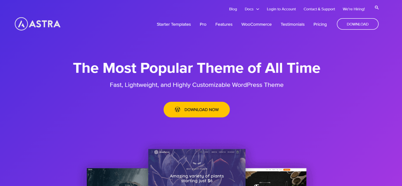 Astra WordPress theme