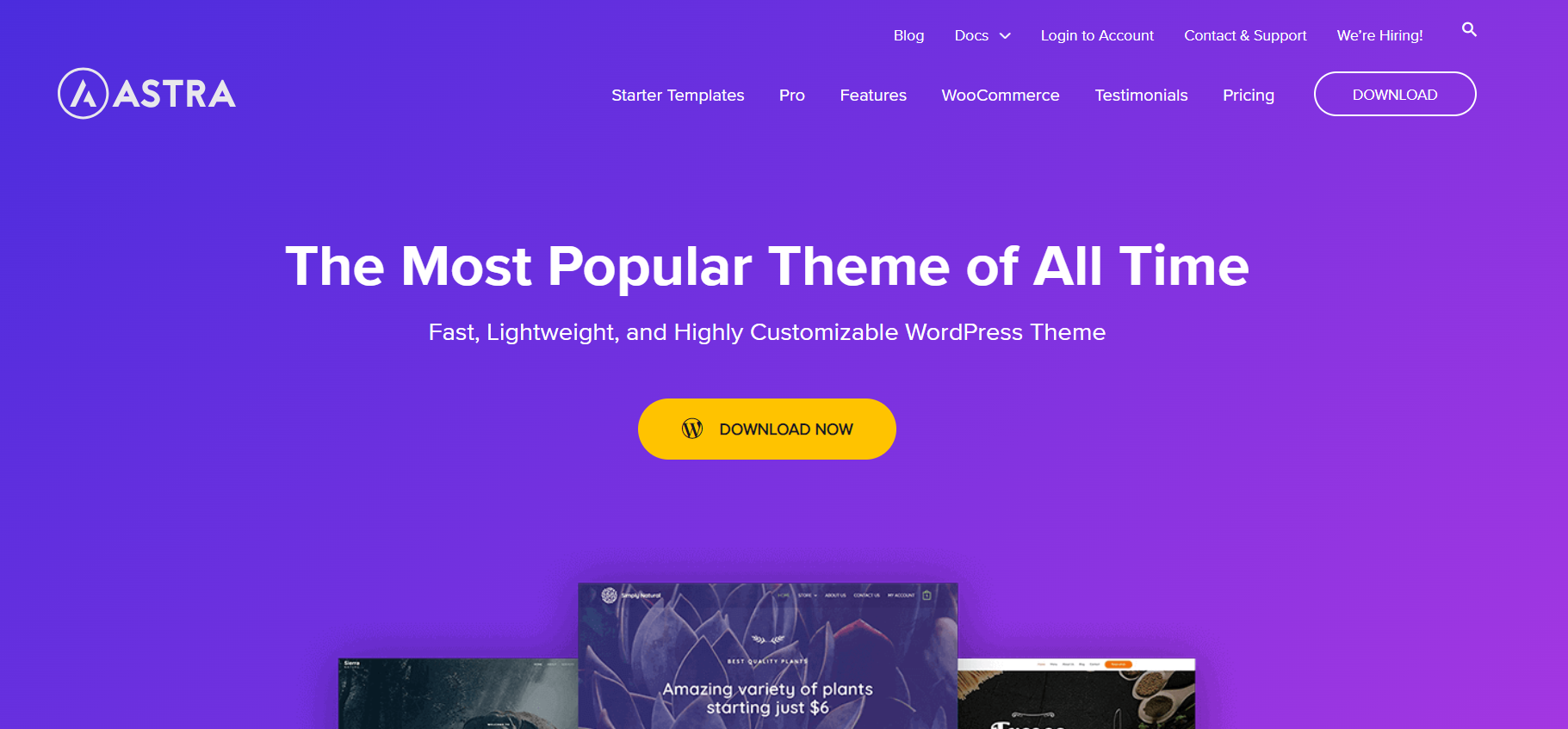 Astra WordPress theme