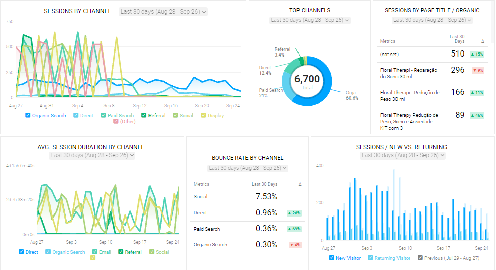 Traffic and Audience Metrics